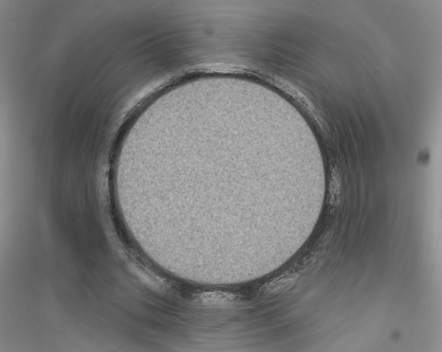 X0000116890535201002021211