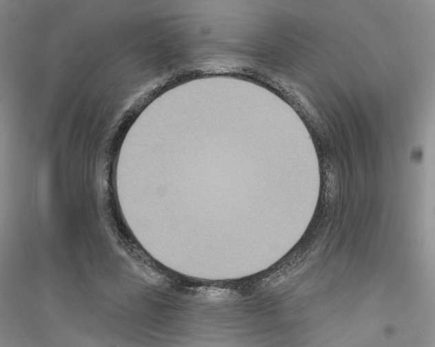 X0000116890539201002021211