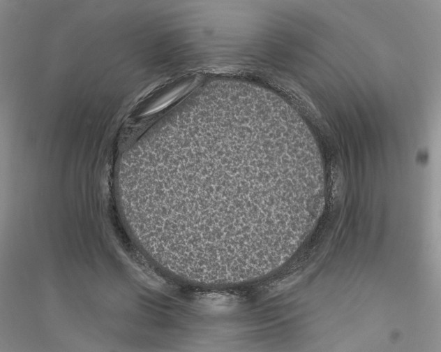 X0000116890542201002021211