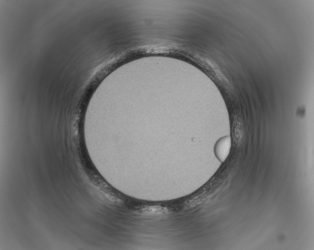 X0000116890543201002021211