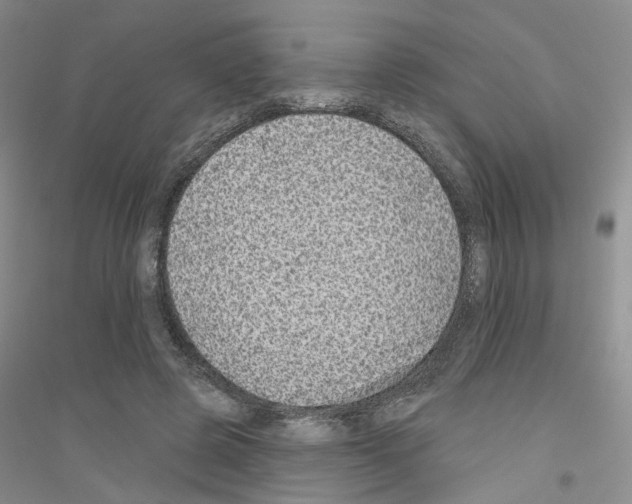 X0000116890545201002021211