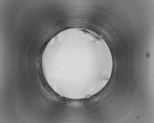 X0000116890546201002021211