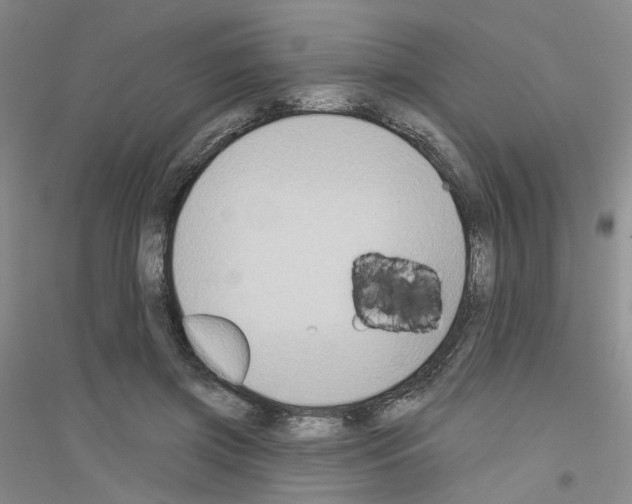 X0000116890549201002021211