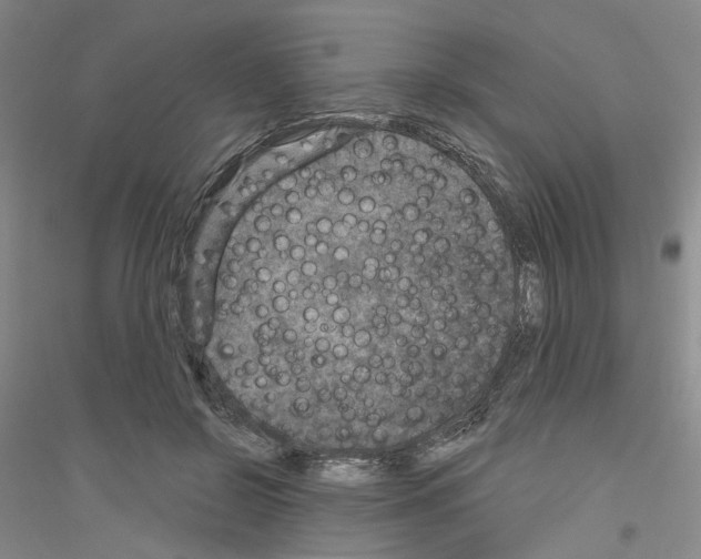 X0000116890550201002021211