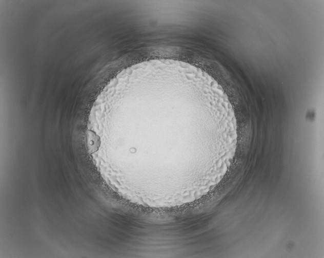 X0000116890553201002021211