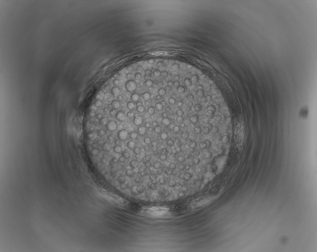 X0000116890554201002021211