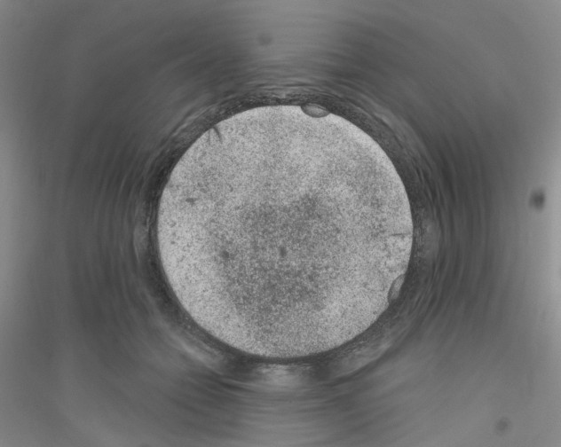 X0000116890558201002021211