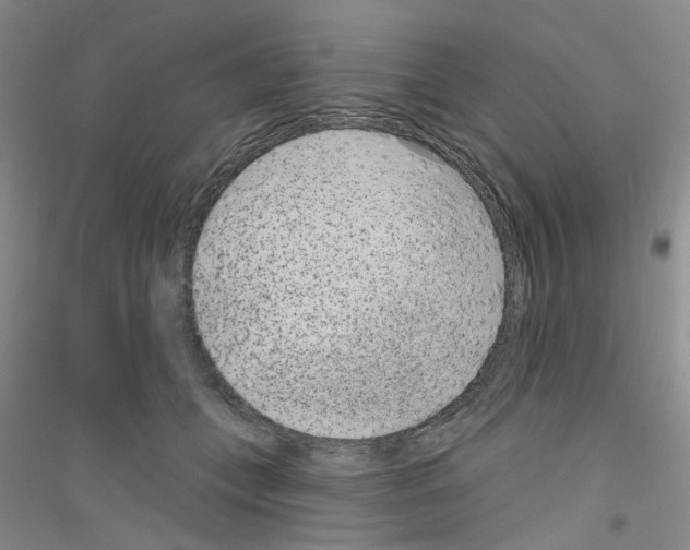 X0000116890559201002021211