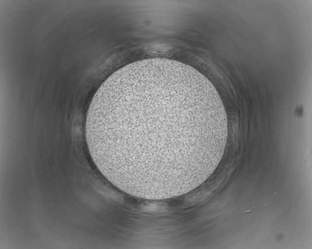 X0000116890561201002021211