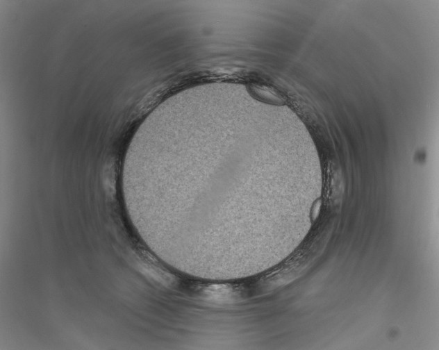 X0000116890562201002021211