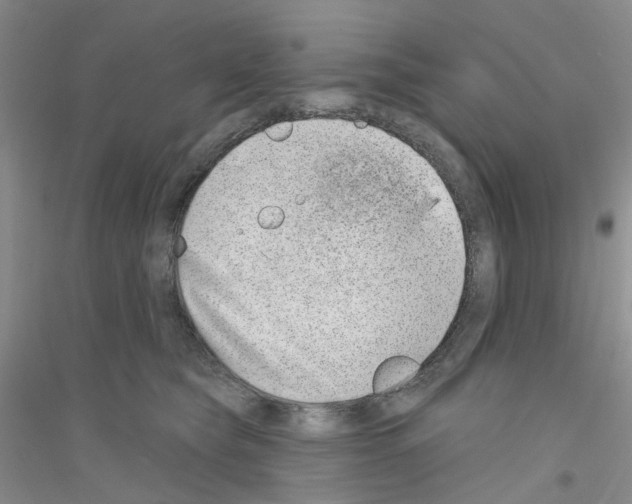 X0000116890565201002021211