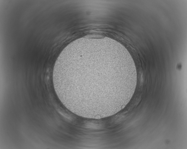 X0000116890567201002021211