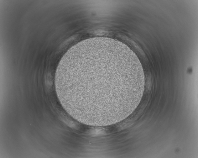 X0000116890569201002021211