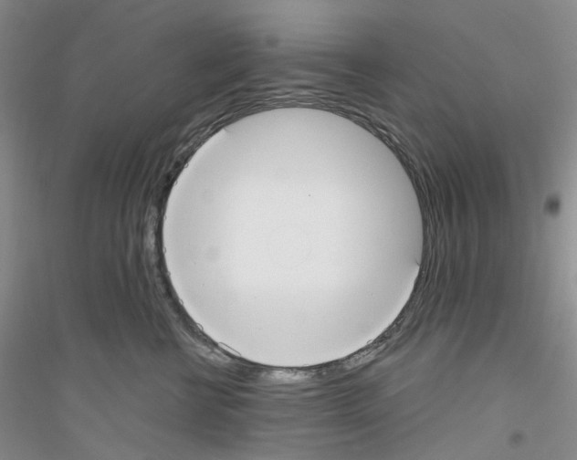 X0000116890570201002021211