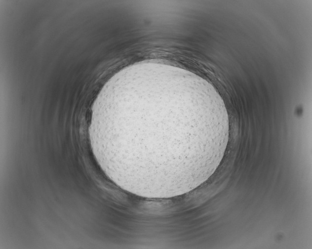 X0000116890571201002021211