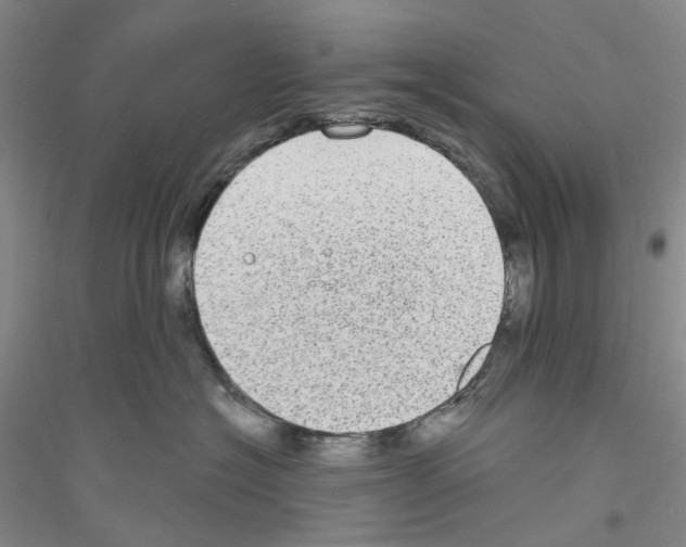 X0000116890574201002021211