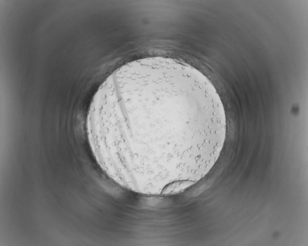 X0000116890575201002021211