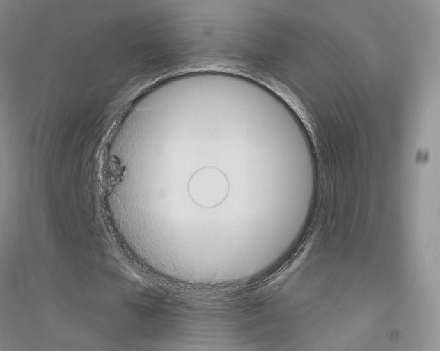 X0000116890577201002021211