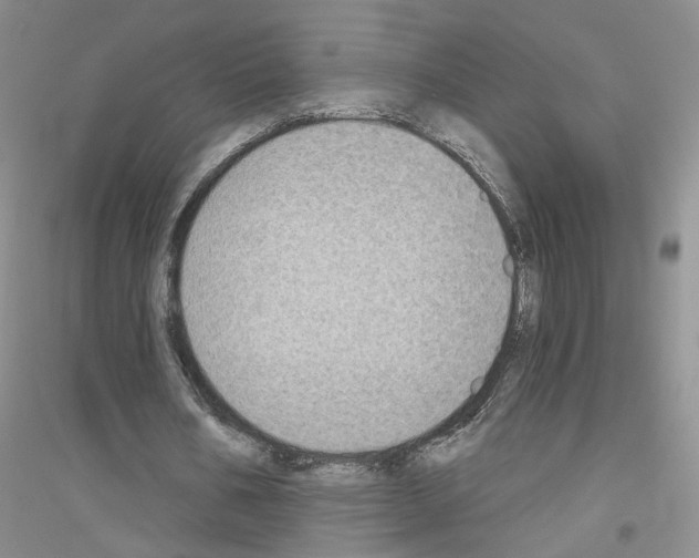 X0000116890578201002021211