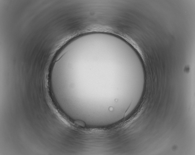 X0000116890581201002021211