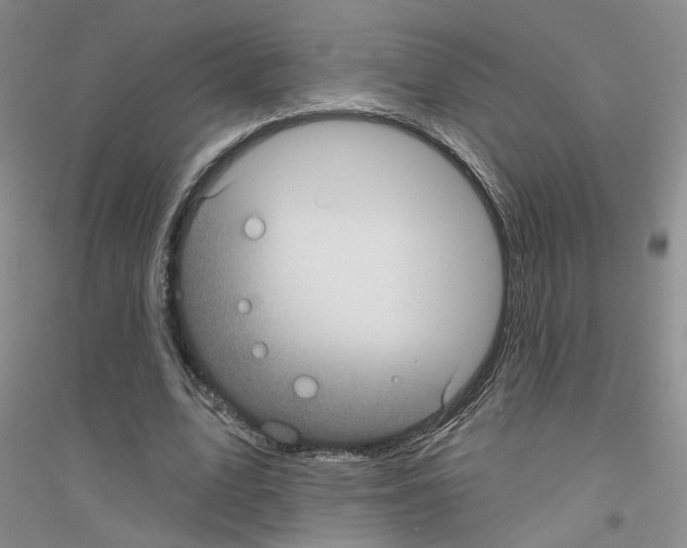 X0000116890583201002021211