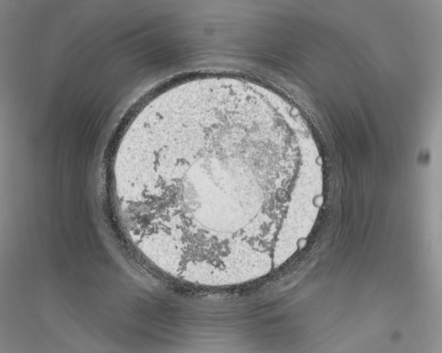 X0000116890584201002021211