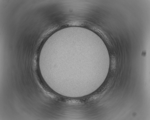 X0000116890586201002021211