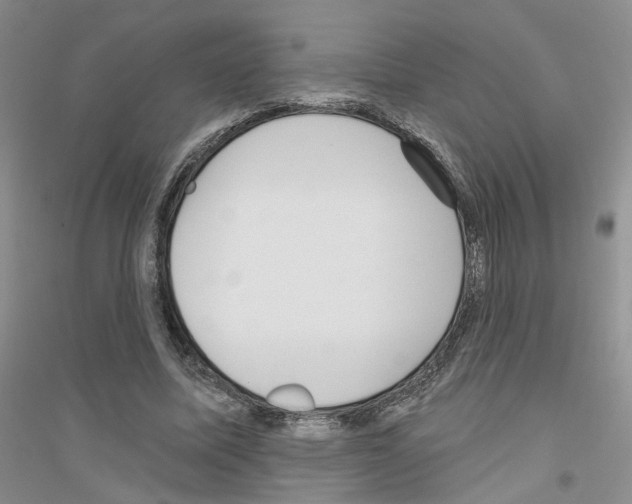 X0000116890587201002021211