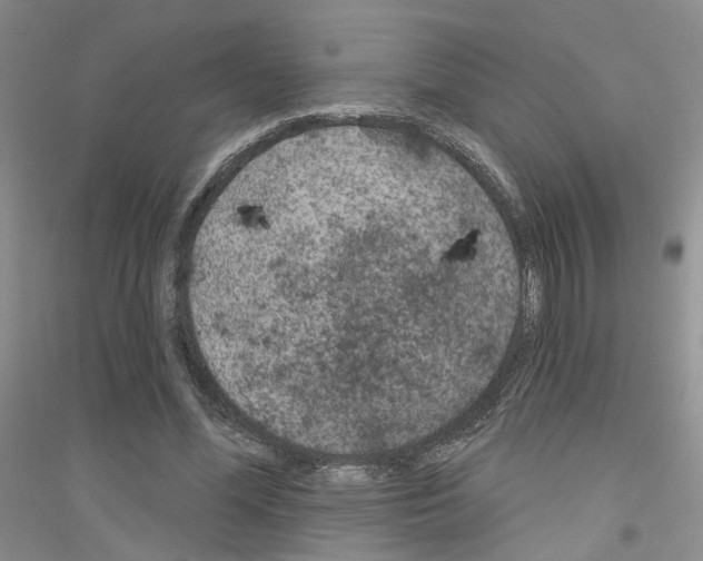 X0000116890588201002021211