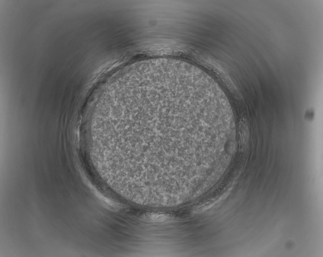 X0000116890590201002021211