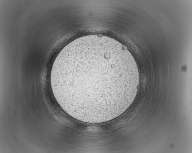 X0000116890591201002021211