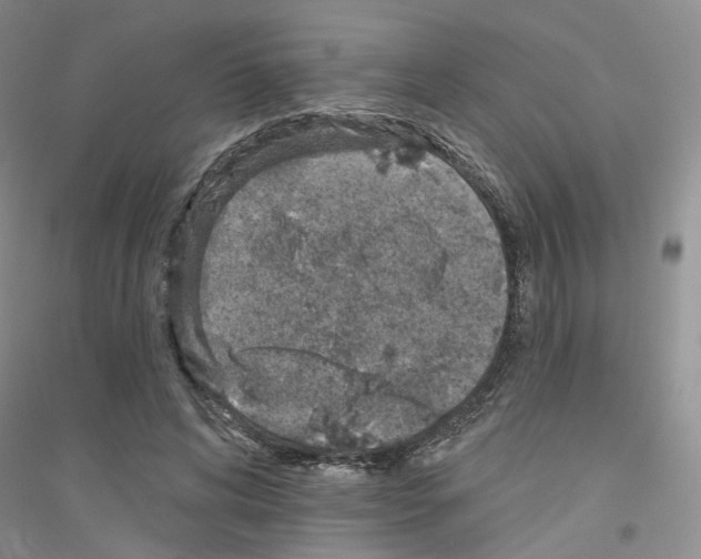 X0000116890592201002021211