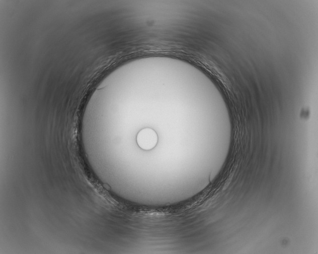 X0000116890593201002021211