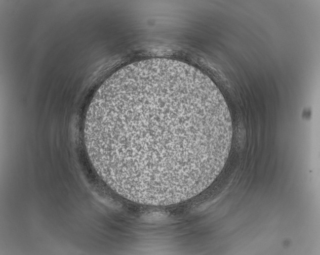 X0000116890594201002021211