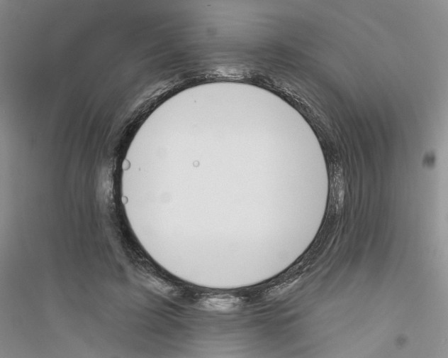 X0000116890595201002021211