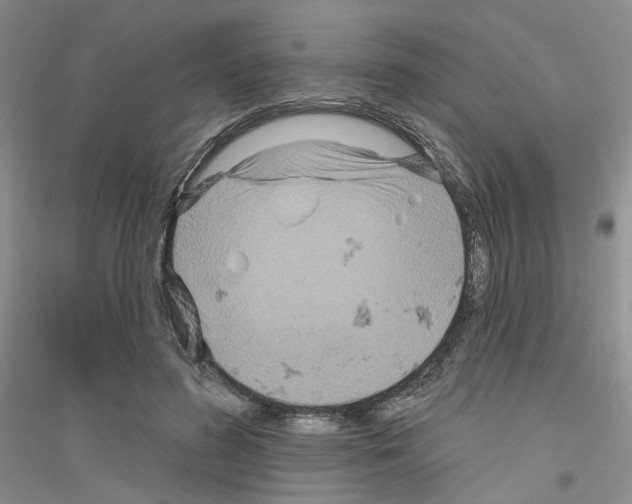 X0000116890596201002021211