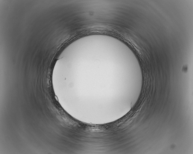 X0000116890597201002021211