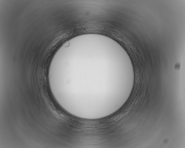 X0000116890599201002021211