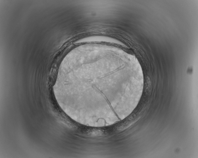 X0000116890600201002021211