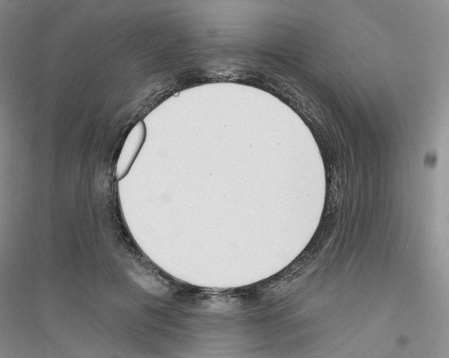 X0000116890601201002021211