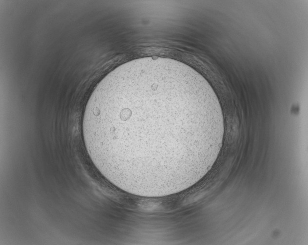 X0000116890602201002021211