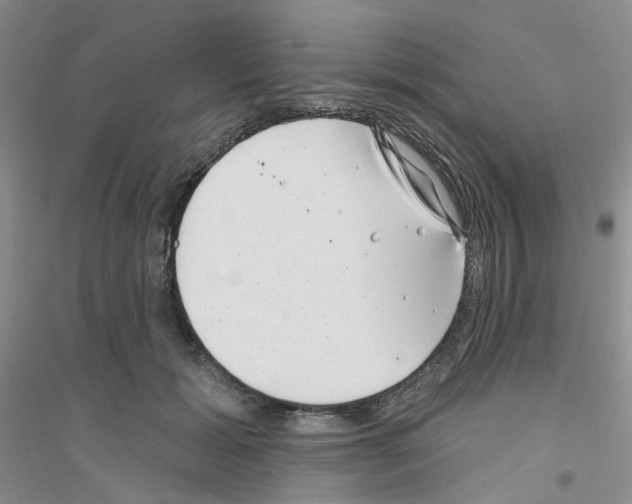 X0000116890605201002021210