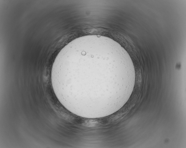 X0000116890607201002021210