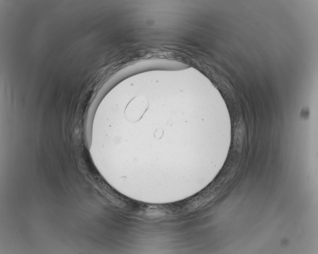 X0000116890608201002021210