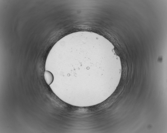 X0000116890609201002021210