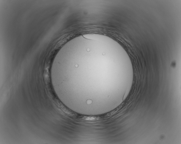 X0000116890611201002021210