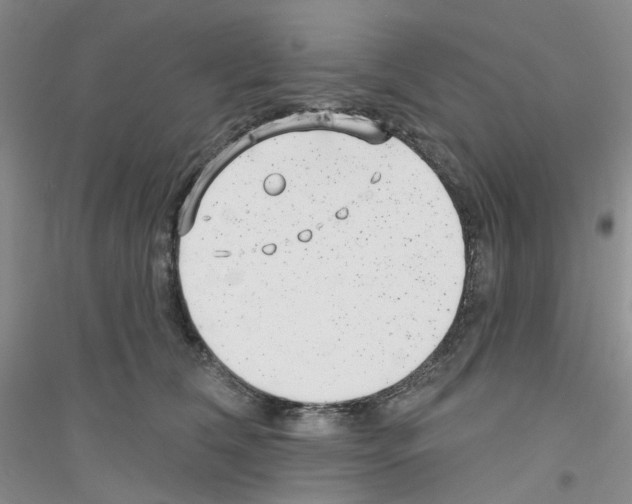 X0000116890612201002021210