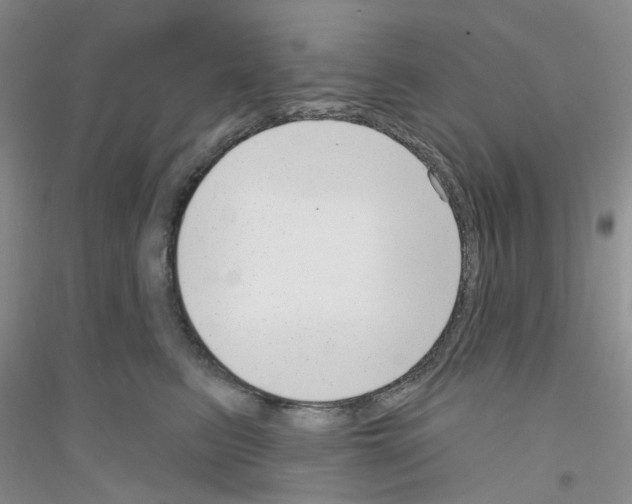 X0000116890615201002021210