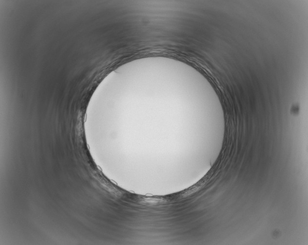 X0000116890617201002021210