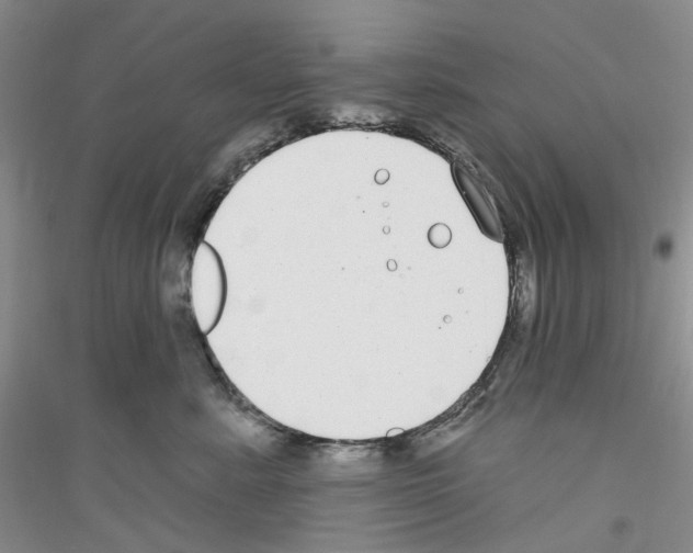 X0000116890619201002021210